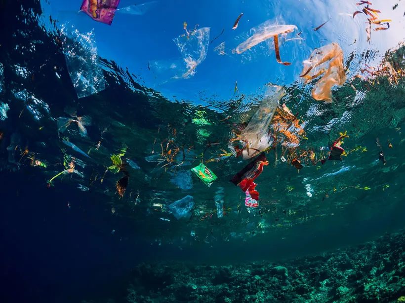 Ocean Conservation